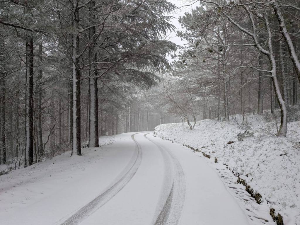 Al momento stai visualizzando Torna la neve anche su Monte Cammarata