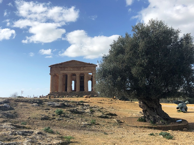 Scopri di più sull'articolo Passeggiate naturalistiche e laboratori per famiglie: Flora – Percorsi di Primavera prende il via il 29 marzo ad Agrigento