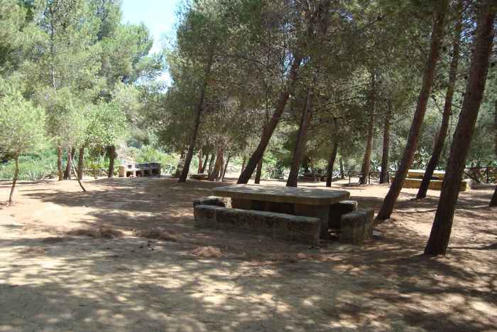 Al momento stai visualizzando Agrigento, Di Rosa rilancia: “Ambiente, legalità e controllo: ecco il nostro piano”