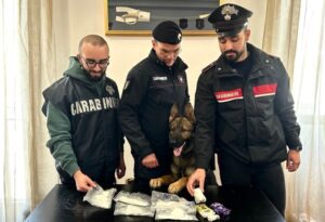Scopri di più sull'articolo Deteneva e spacciava cocaina e hascisc: arrestato dai carabinieri
