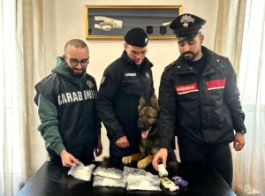 Scopri di più sull'articolo Licata, scoperto garage della droga: arrestato 22enne, sequestrati cocaina e hashish