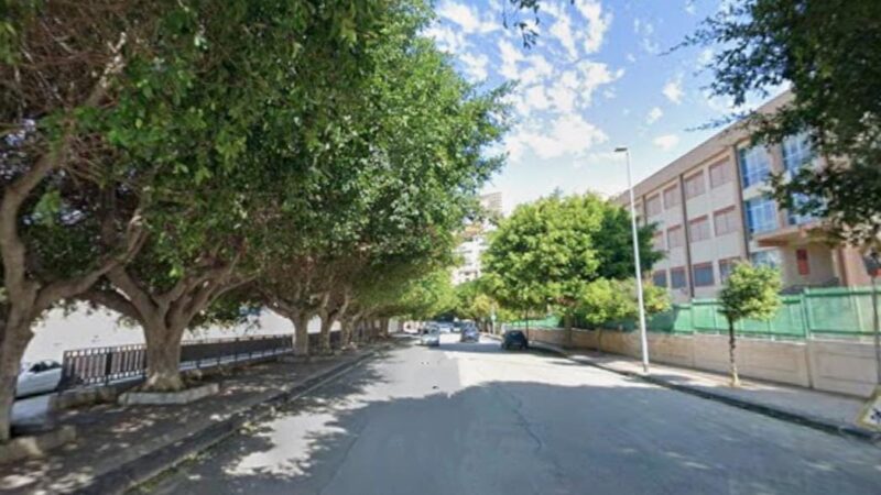 Al momento stai visualizzando Niente capitozzatura degli alberi davanti la scuola “Castagnolo”, “solo una potata”