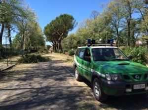 Scopri di più sull'articolo Agrigento – Prevenire gli incendi boschivi, a Burgio collocata la prima torretta digitale