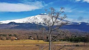 Scopri di più sull'articolo Al Museo del Cinema a Catania un incontro dedicato all’Etna a cura di Generattivi. Un’iniziativa ideata dall’artista Sonja Streck