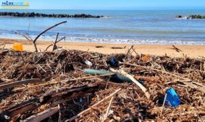 Scopri di più sull'articolo Volontari in azione domenica per ripulire le spiagge locali