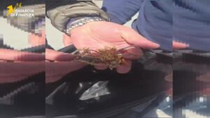 Scopri di più sull'articolo Arrestato un truffatore: 40 mila euro sottratti a anziani spacciandosi per perito