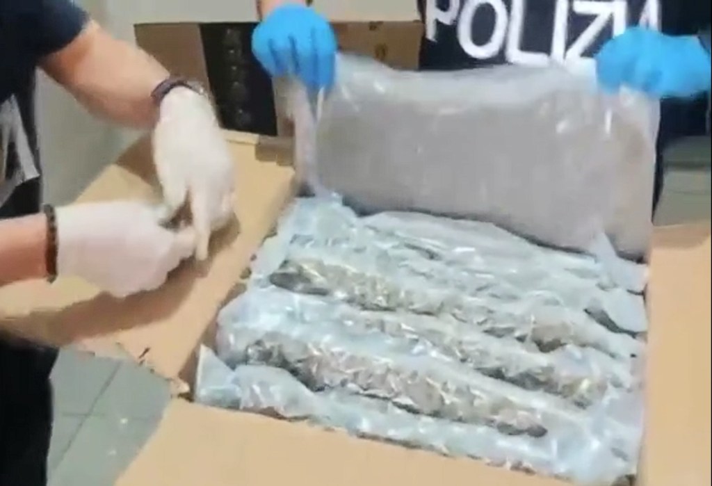 Al momento stai visualizzando Arrestato 38enne per adulterazione di marijuana: ecco i dettagli dell’operazione