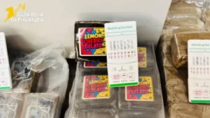 Scopri di più sull'articolo Arrestato in casa con 23 chili di droga e 86 mila euro in contante