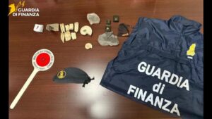 Scopri di più sull'articolo Sequestro di 17 fossili antichi dalla Guardia di Finanza: un patrimonio salvaguardato