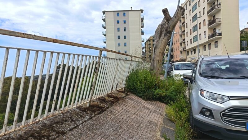 Scopri di più sull'articolo Piazzetta-parcheggio in via Dante a rischio crollo: allerta per la sicurezza