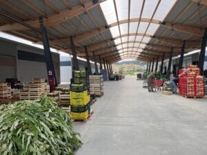 Scopri di più sull'articolo Nuovo Mercato Ortofrutticolo a Licata: opportunità per agricoltori e cittadini