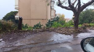 Scopri di più sull'articolo Intervento risolutivo in via Toniolo: rimossi rifiuti ingombranti e rami abbandonati