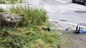 Scopri di più sull'articolo Cittadini in azione: decespugliano Viale dei Pini trascurato dal Comune