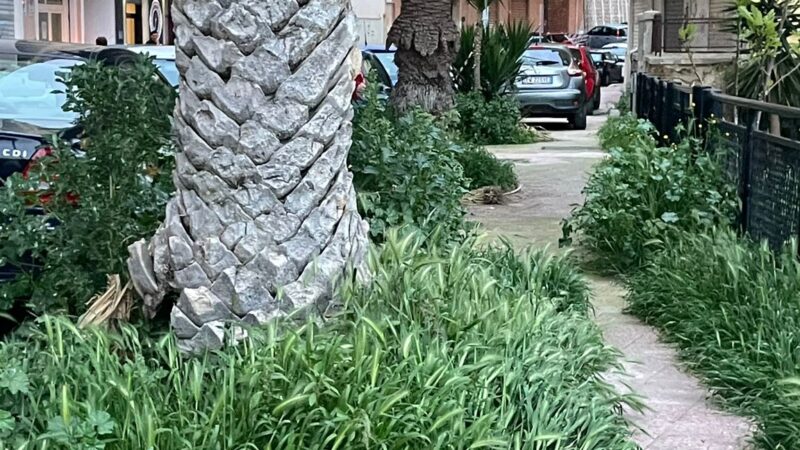 Al momento stai visualizzando Via Porta di Mare: degrado e cantiere bloccato, cittadini in difficoltà