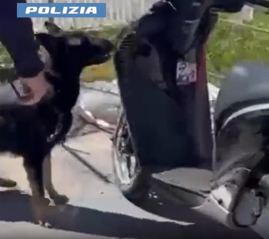 Al momento stai visualizzando Arrestato per aver occultato 200 grammi di droga nello scooter