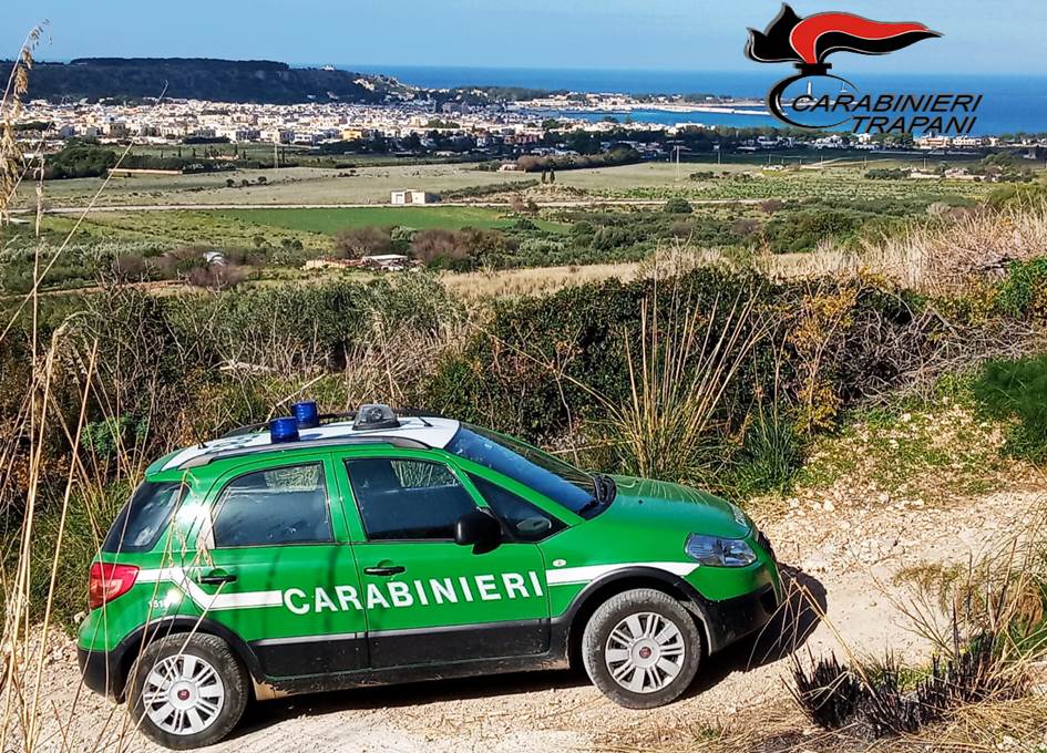 Al momento stai visualizzando Due denunce per il possesso di specie selvatiche protette nel territorio