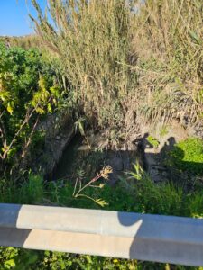 Scopri di più sull'articolo Emergenza sanitaria a Cannatello: farmacia ancora non attivata ad Agrigento