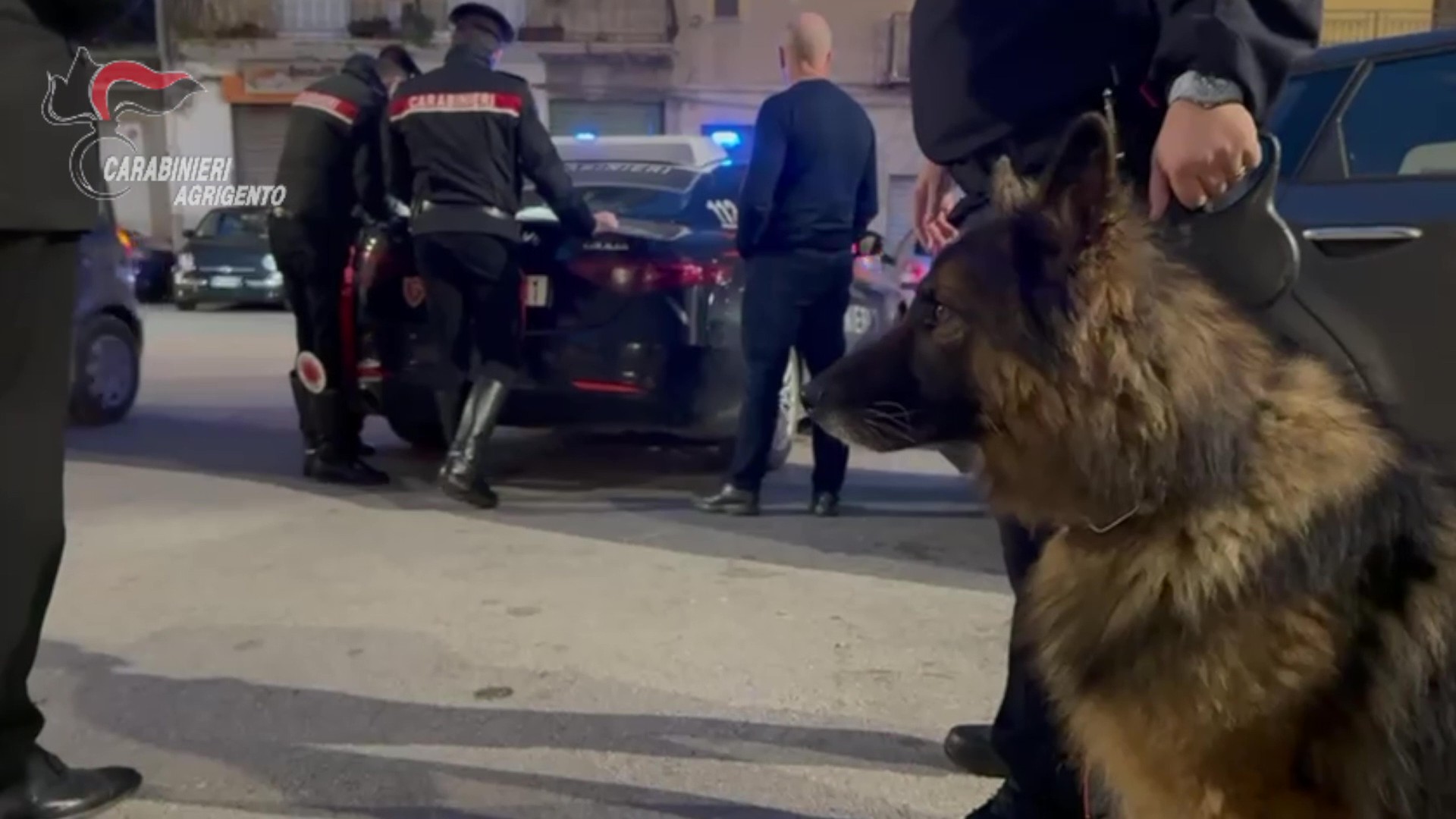 Al momento stai visualizzando Controlli antidroga in piazza Rosselli: l’intervento dei Carabinieri con i cani