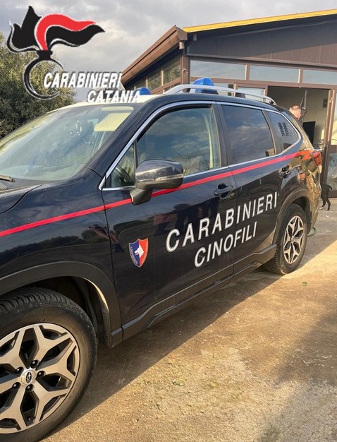 Al momento stai visualizzando Arrestato dopo aver lanciato droga dalla finestra durante un controllo