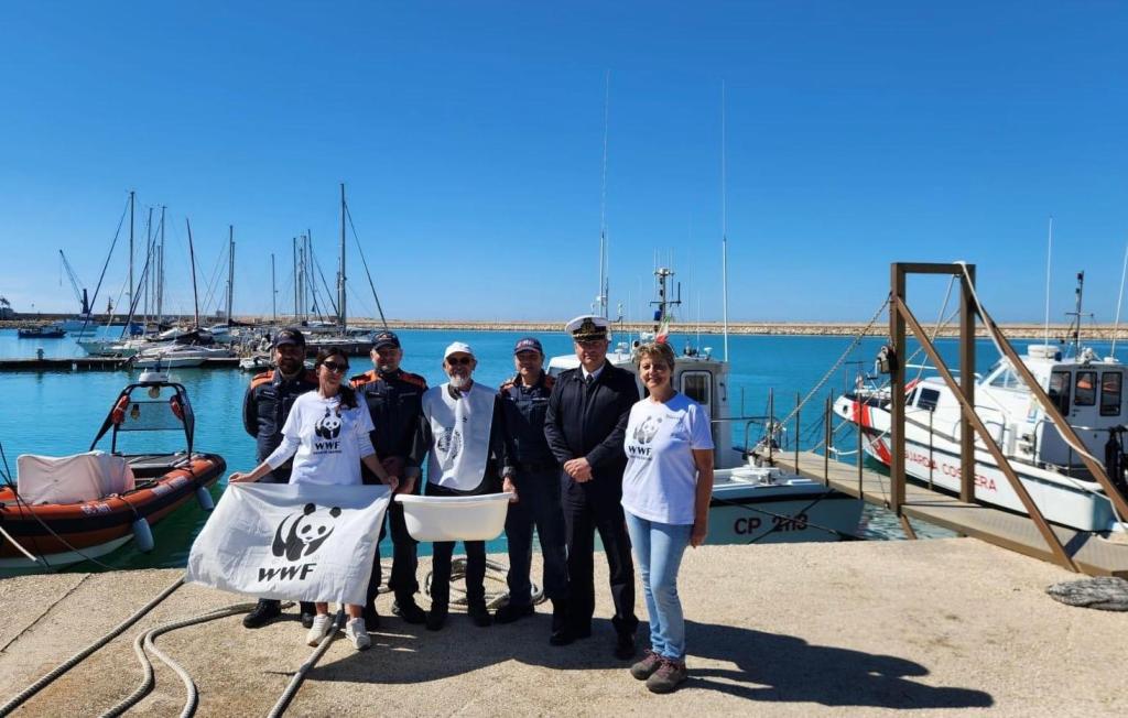 Al momento stai visualizzando Collaborazione tra pescatori e Guardia Costiera salva una tartaruga Caretta caretta