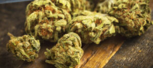 Scopri di più sull'articolo Arrestato 38enne per adulterazione della marijuana: ecco cosa faceva