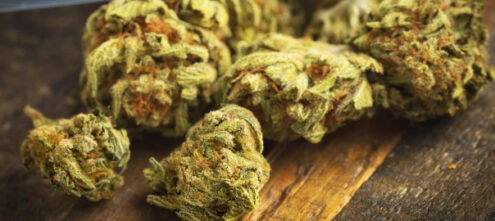 Al momento stai visualizzando Arrestato 38enne per adulterazione della marijuana: ecco cosa faceva