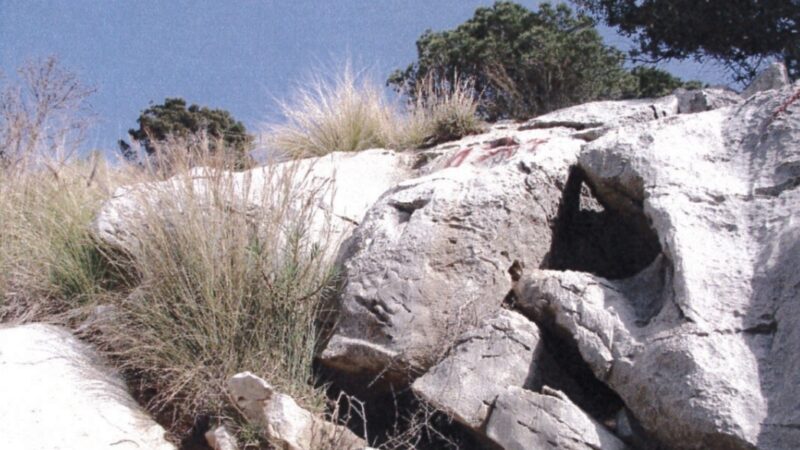 Al momento stai visualizzando Avviata la progettazione per il consolidamento del costone di Monte Gallo a Palermo