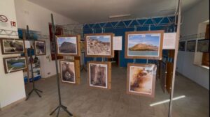 Scopri di più sull'articolo Sabato torna l’escursione botanica a Torre Salsa con “Gessi e Zolfare”