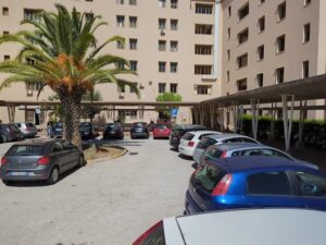 Scopri di più sull'articolo Piano 2026 dell’ospedale di Sciacca: 40 interventi per combattere infestanti