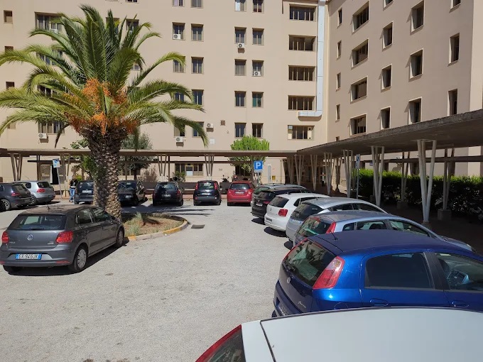 Al momento stai visualizzando Piano 2026 dell’ospedale di Sciacca: 40 interventi per combattere infestanti