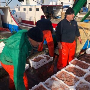 Scopri di più sull'articolo Aumento carburanti in Sicilia provoca fermo della pesca locale