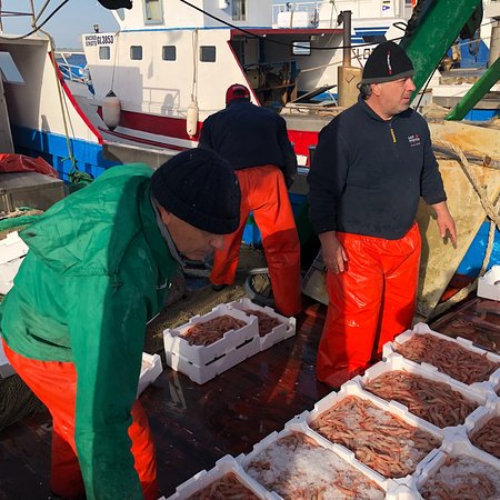 Al momento stai visualizzando Aumento carburanti in Sicilia provoca fermo della pesca locale