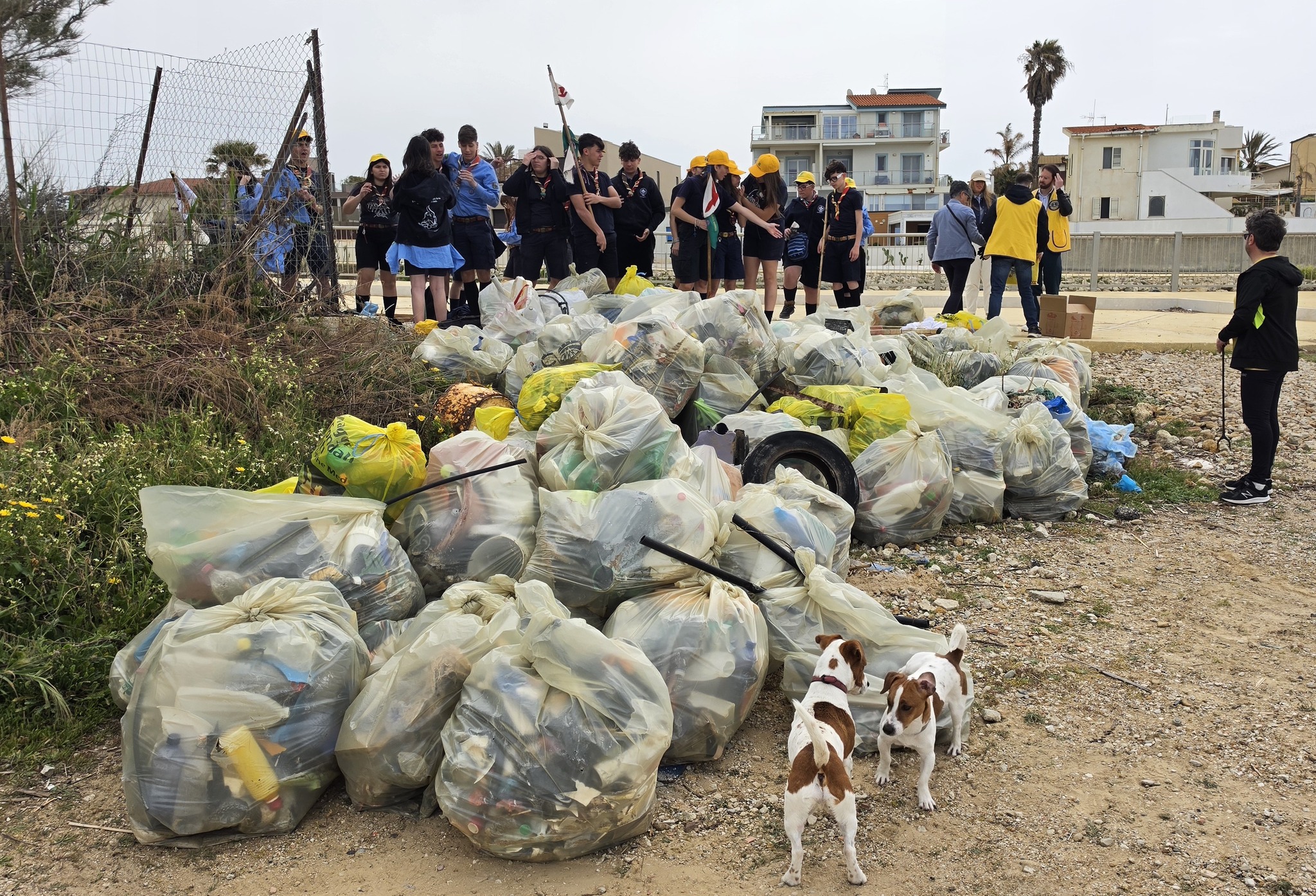 Al momento stai visualizzando Quattro tonnellate di rifiuti rimossi da due spiagge di San Leone
