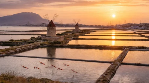 Al momento stai visualizzando Saline di Sicilia candidate all’Unesco: avviato il dialogo con cittadini e imprese