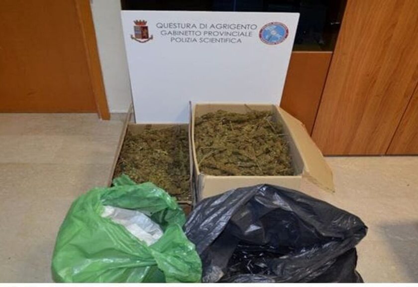 Al momento stai visualizzando Coltivatore di marijuana scoperto ad Agrigento: scatta la denuncia