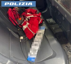 Scopri di più sull'articolo Arrestato un ladro che si spacciava per soccorritore durante un furto