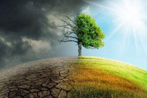 Scopri di più sull'articolo Strategie aziendali al servizio della transizione ecologica sostenibile