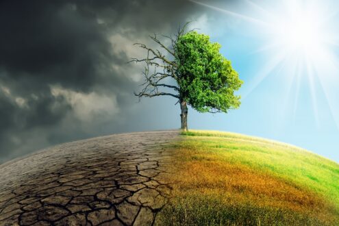 Al momento stai visualizzando Strategie aziendali al servizio della transizione ecologica sostenibile