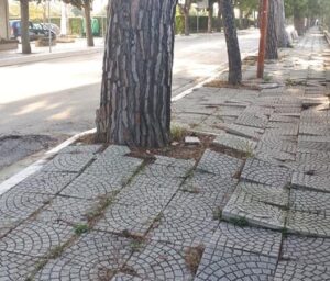 Scopri di più sull'articolo Comune in contenzioso dopo la condanna per incidente causato da radici di alberi