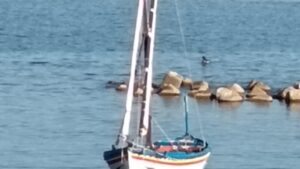 Scopri di più sull'articolo Cooperative di pesca in allerta: “Ristori urgenti per salvaguardare posti di lavoro