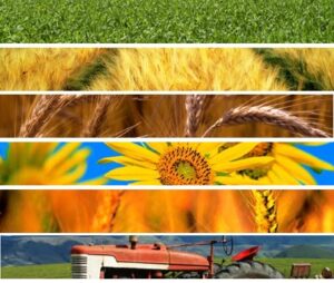 Scopri di più sull'articolo UniCredit e Agenzia per le Erogazioni in Agricoltura: nasce una nuova collaborazione