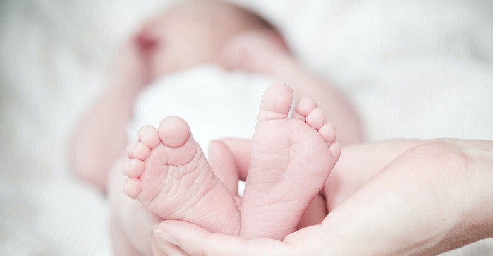 Al momento stai visualizzando Eletto il nuovo consiglio del Comitato per la Bigenitorialità: arriva “Sos Casa”