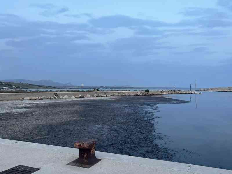 Al momento stai visualizzando La Regione spinge per la rimozione della posidonia a Porto Palo