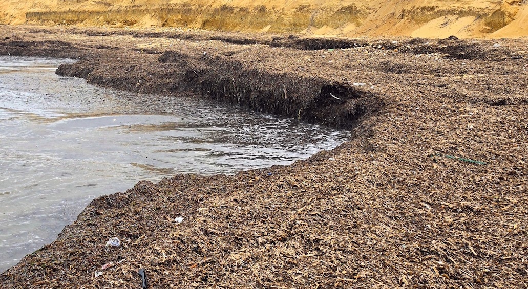 Al momento stai visualizzando Posidonia sulle spiagge agrigentine: Mareamico la trasforma in risorsa – VIDEO