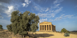 Scopri di più sull'articolo Denunciato parcheggiatore abusivo con badge del Parco dei Templi ad Agrigento