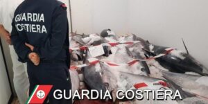 Scopri di più sull'articolo Sanzionato per trasporto di tonno rosso senza documenti necessari