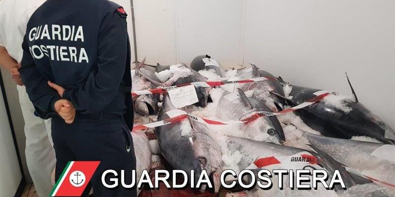 Al momento stai visualizzando Sanzionato per trasporto di tonno rosso senza documenti necessari