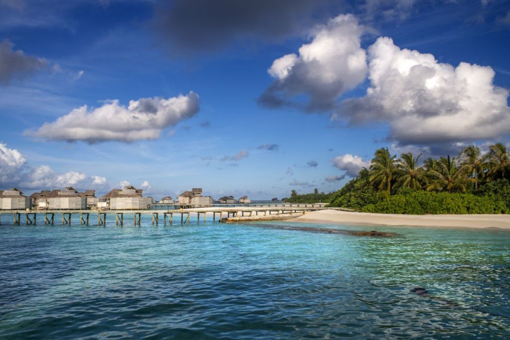 Scopri di più sull'articolo Tragedia alle Maldive: cinque italiani perdono la vita durante un’immersione