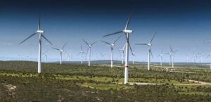 Scopri di più sull'articolo Il Tar di Palermo respinge il ricorso di RWE sul parco eolico di Canicattì