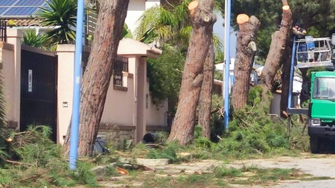 Scopri di più sull'articolo Agrigento, nasce il “Patto per il verde” delle associazioni ambientaliste